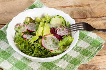 Salad with radish and green cucumber.