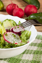 Salad with radish and green cucumber.