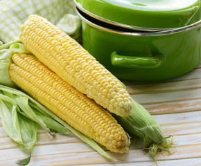 ripe yellow corn and green pan on a wooden background © Olga Kriger