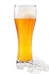 Glass of beer isolated on white background
