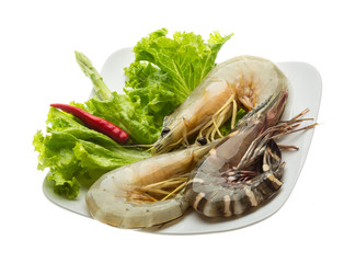 King and waterleg shrimps