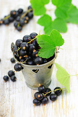 Schwarze Johannisbeeren