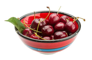 Gean - cherry