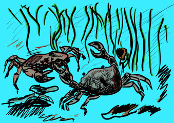 crabs