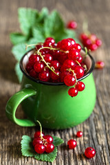 Red currant