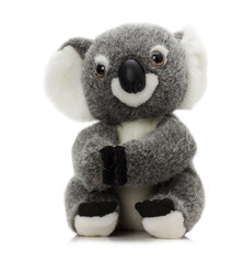 plush koala toy isolated on a white background
