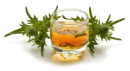 Liquore di cardo selvatico