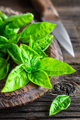 basil