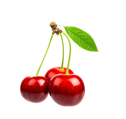 Three sweet cherries with the leaf  on a white background