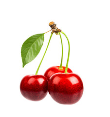 Three sweet cherries with the leaf on a white background