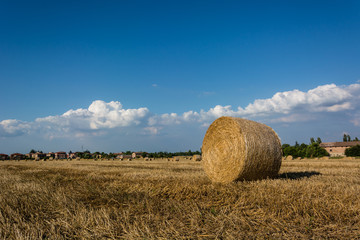 Rotoballe nella pianura Emiliana