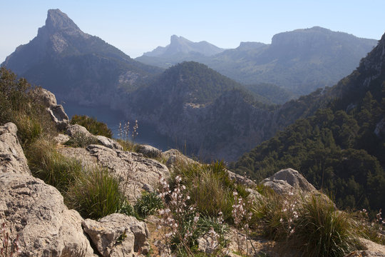Auf der Halbinsel Formentor