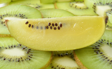 kiwi on  background