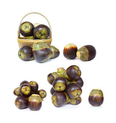 Fresh Toddy palm