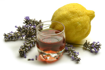 Lavandula Лаванда Lawenda Lavanda Lavendel ضرم