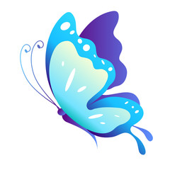 butterflies design