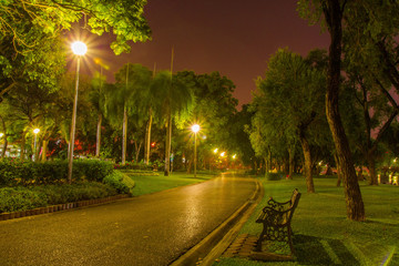 Naklejka premium light in park