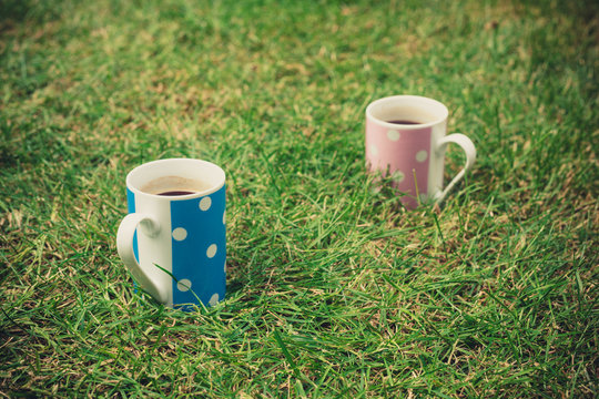 Two cups in the grass