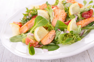 salmon salad