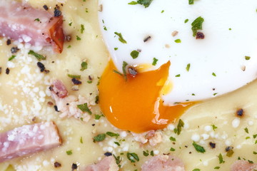 Fresh Pasta Carbonara with ham and cheese