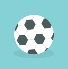 Fototapeta premium Soccer ball