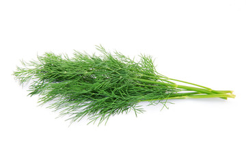 dill isolated on white