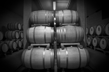 barrels of wine