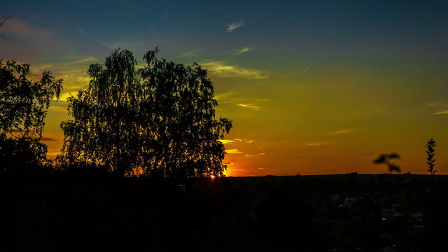 4K Timelapse of a sunset in woods
