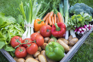 Gros plan panier de légumes