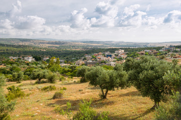 Fototapeta na wymiar Gardens Of Israel