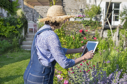Woman senior taking picture with her tablet pc in garden