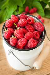 Raspberries