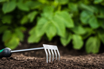 Gardening tool in the soil