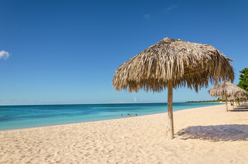 Amazing tropical beach with palm tree umbrellas