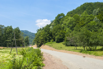 Road Through Field & Forest
