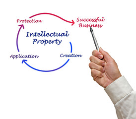 Intellectual property diagram