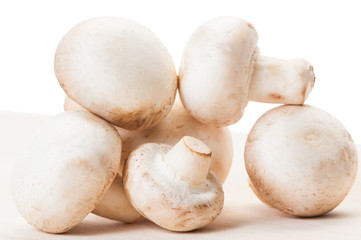 Closeup of bunch of champignon mushrooms.