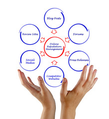 Online Reputation Management