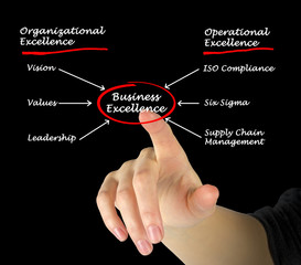 Diagram of business excellence