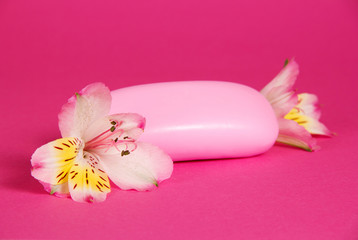 Pink toilet soap and the flower of alstroemeria