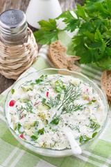 cold soup with fresh vegetables and kefir (okroshka)