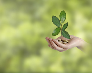 Investing to green business