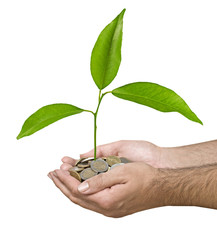 Investing to green business