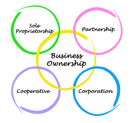 Business ownership