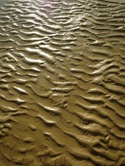 Sun reflecting off sand