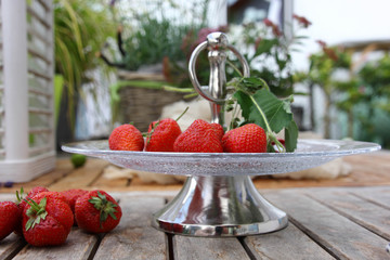 Erdbeeren Früchte