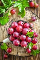 Gooseberry