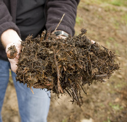 Agricultural Compost