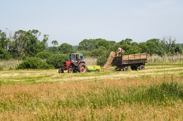 Fototapeta na wymiar Harvesting hay on the tractor in the summer
