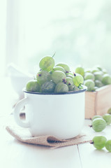 Fresh ripe green gooseberry